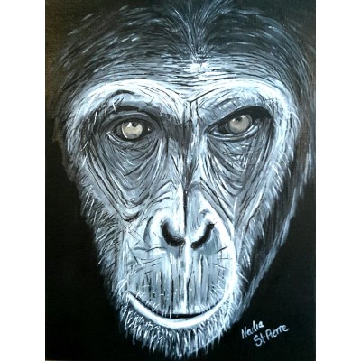 Oscar le chimpanzé